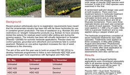 Herbicide screening for container-grown hardy nursery stock